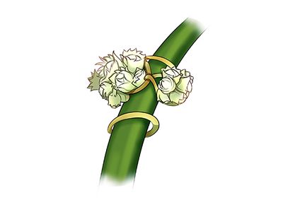 未标题-1.jpg 未标题-1.jpg